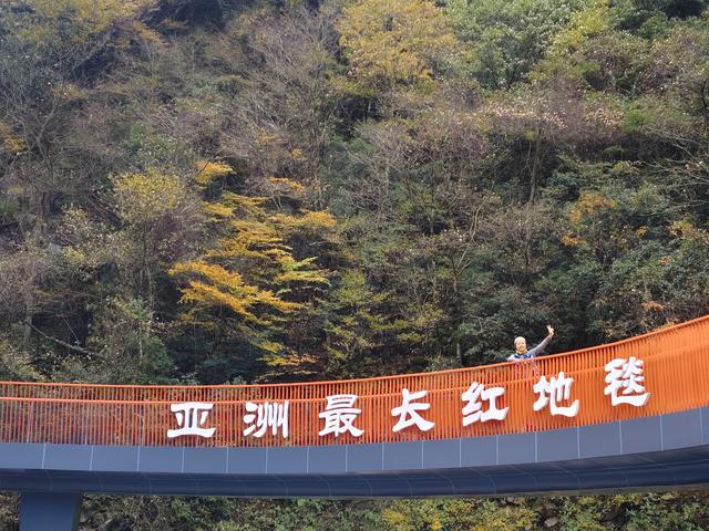 南行漫记：汉中南郑区到巴中恩阳区，9小时233公里的行走路书