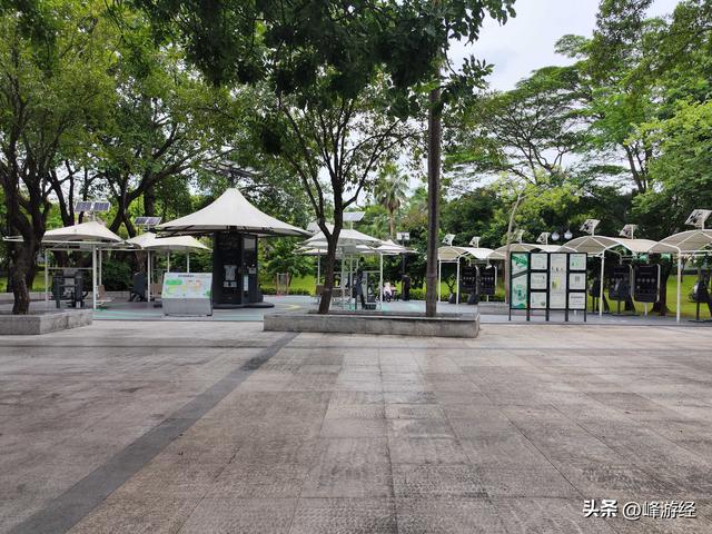 徒步穿越深圳中心公园，超一线城市的绿肺