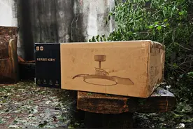 小米又有黑科技？带电风扇的吸顶灯，网友：比吹空调舒服图片