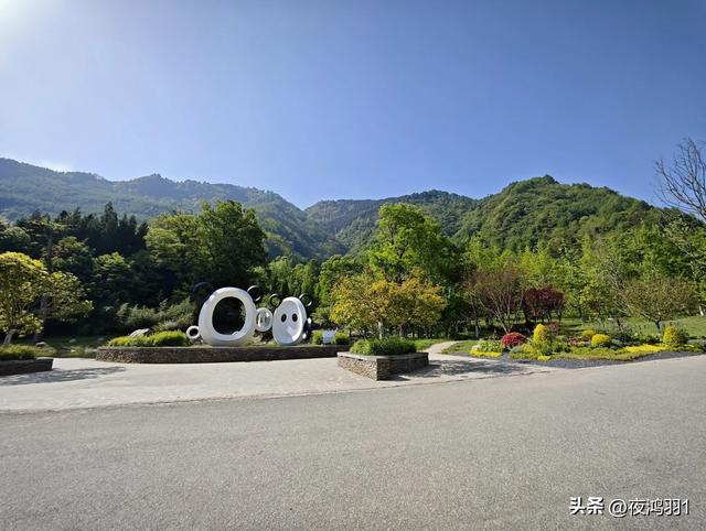 理小路环线今日风景！