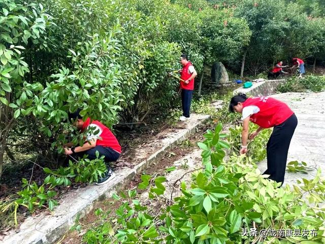 康县：精心管护提品质，整洁靓丽展颜值