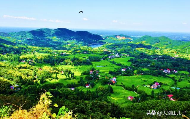 固始锁口梯田将迎来金色拍摄期