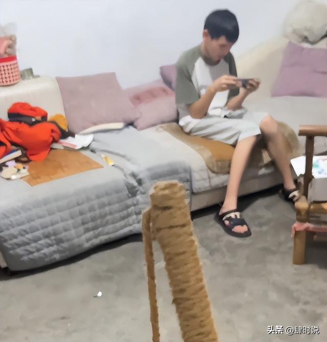 离异妈妈独自养儿子14年，孩子却转身投奔父亲，哭诉：猫都能养熟