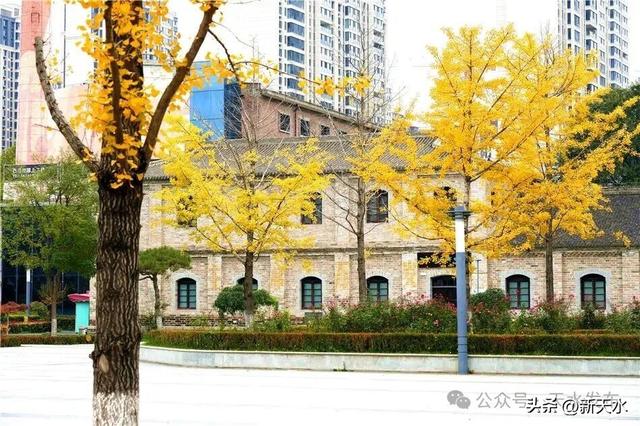 天水弘文园秋景美翻了，快去打卡！