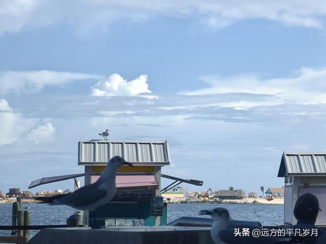 Wonder of the seas海洋奇迹号（5天4晚海上游轮）
