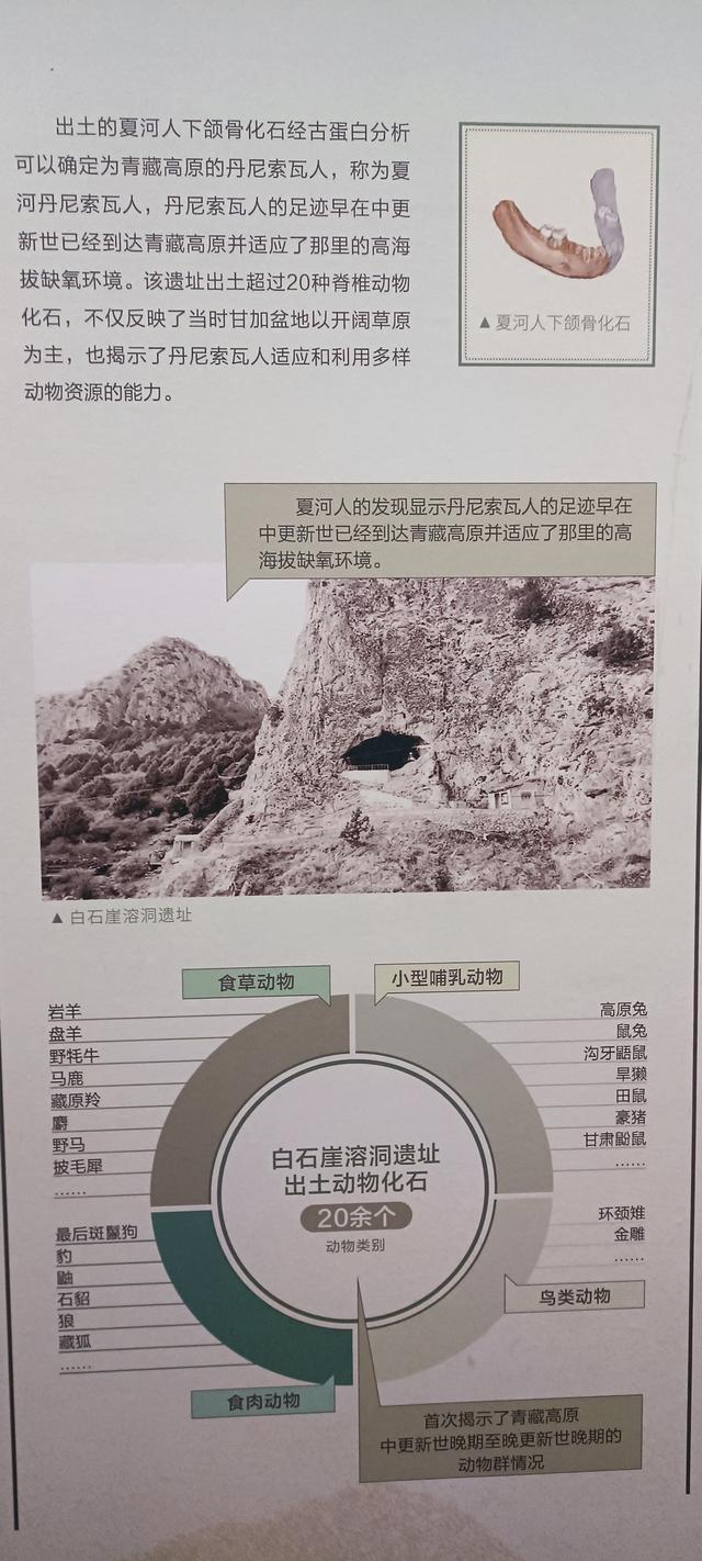 那么近，那么美，周末到商洛了——大美商洛秦岭博物馆