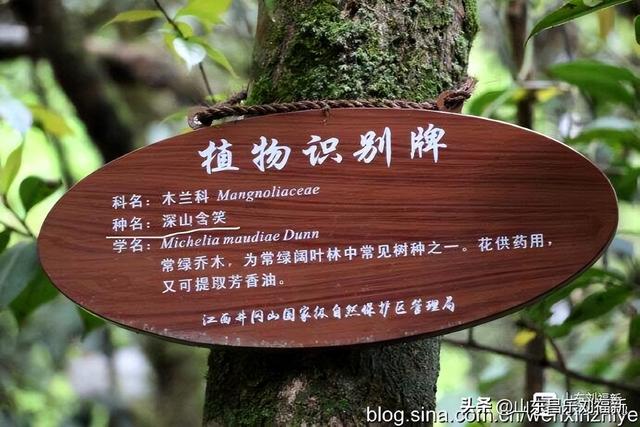 水口景区小记（江西之旅第八十八篇）