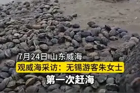 游客赶海桶太小装不下，热心阿姨送大网兜：必须让你满载而归图片