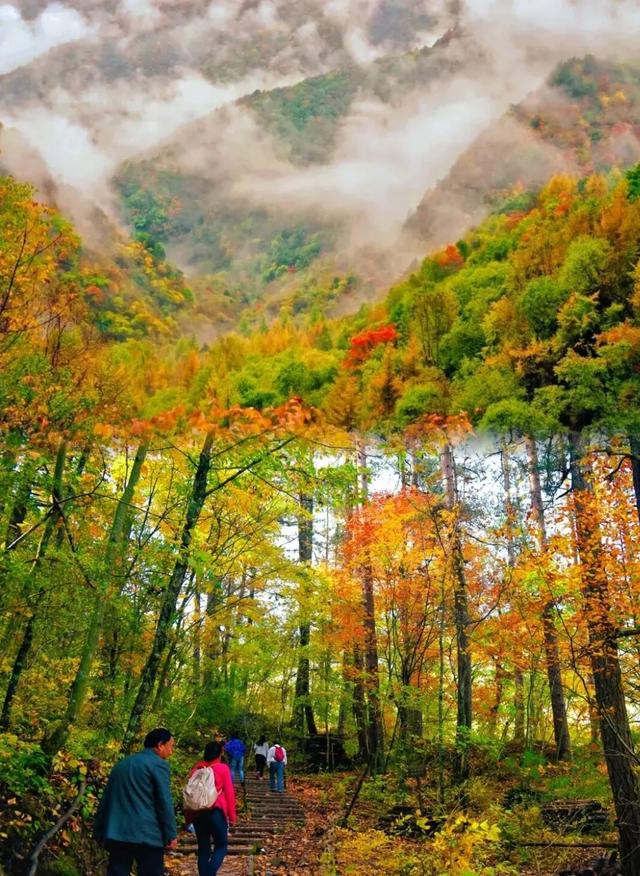 秦岭深处藏着一条“神仙路”，10月底正是它最美的时候