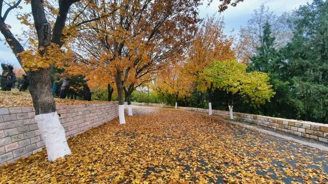 永定塔九层上新啦！观光望远镜带你 “一键拉近” 山河盛景，解锁北京全景视角～