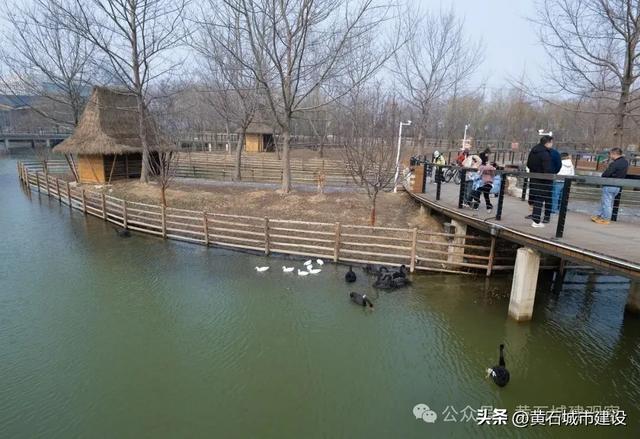 占地10万平方米！黄石新增一东南亚热带雨林主题营地