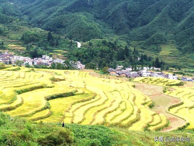 五山清波记