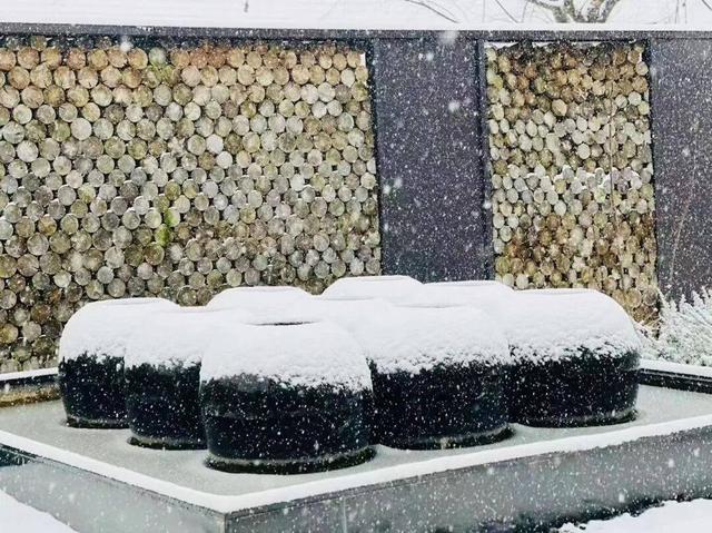 雪҈ 雪҈ 雪҈ 太美啦！快接住这“泼天”的雪白浪漫！