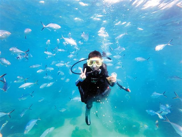 南海明珠海南省，49个冷知识，你知道几个？带你了解真实的海南省