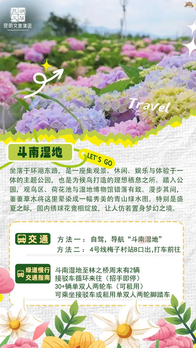 “人在画中游”！昆明这个湿地公园成“全民健身”热门打卡地