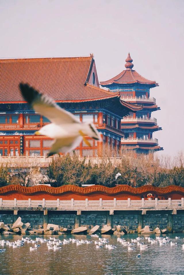 山东这座宝藏小城，坐拥中国四大名楼之一！苏轼、秦始皇都为它打call！