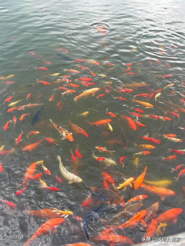 江西庐山西海风景真不错！