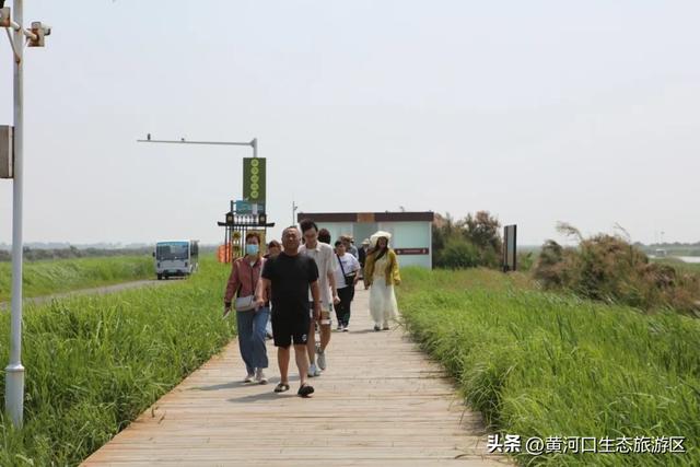 【黄河口生态旅游区】今日入伏 出游温馨提示