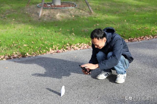 谁懂啊！这些打卡地的秋，连落叶都在教你拍照→