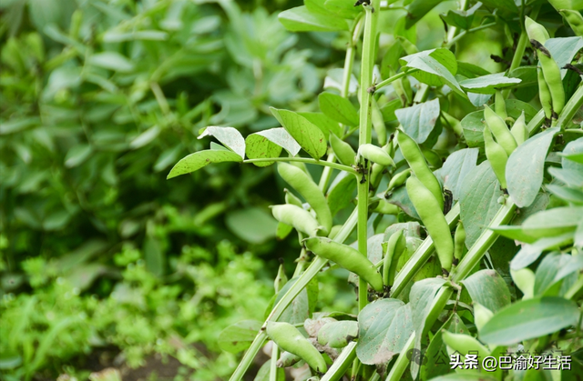 重庆嘉陵江边的白庙子，曾是四川第一条铁路的终点，如今怎样了？