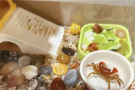 青年发现｜年轻人为何爱上了养蟹？图片