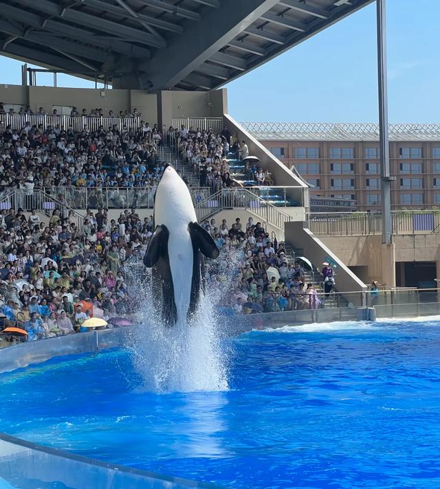 世界上只有上海浦东才有的10大奇景!全球独一无二!