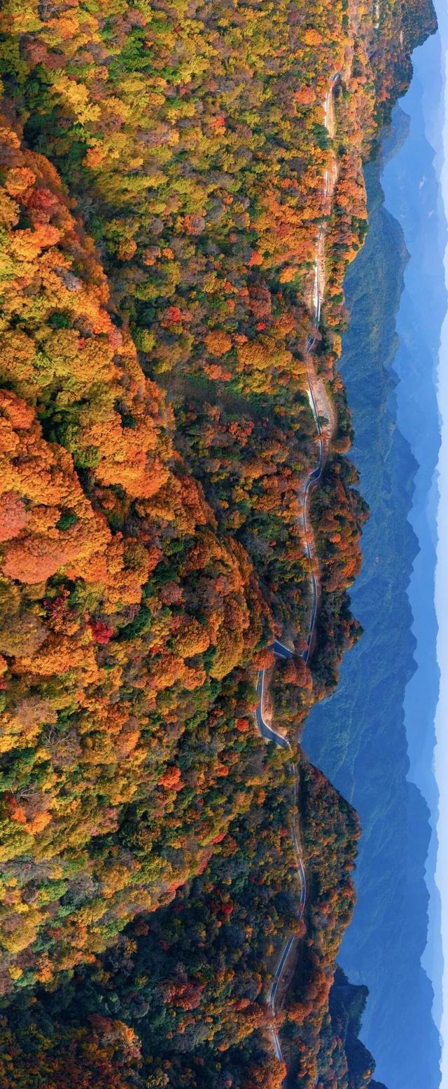 秋日旺苍米仓山大峡谷，申请加入你的旅行清单！