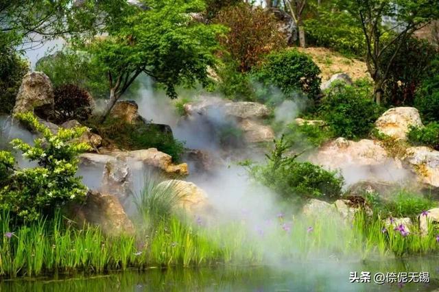 无锡又一湿地公园！速去打卡~