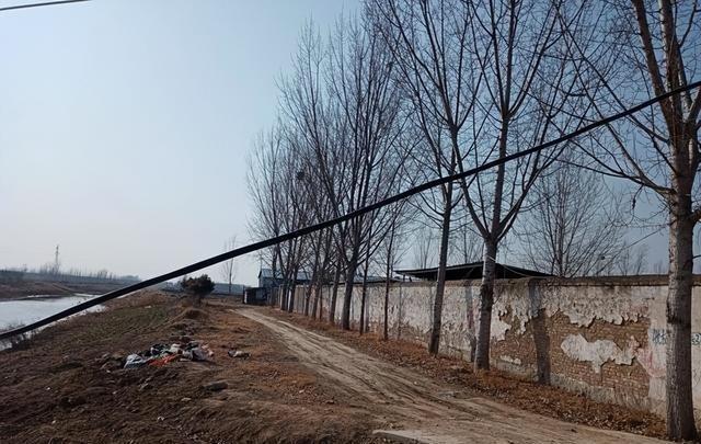 “正月初十早看天，一年不用问神仙”，明日正月初十，有何预兆？