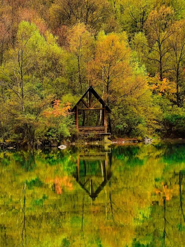 松坪沟彩林已“封神”！泡暖泉、赏非遗打铁花，这波三重盛宴错过等一年！