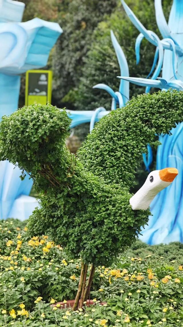 国庆旅游推荐 | 西安植物园邀您共赴秋季花宴