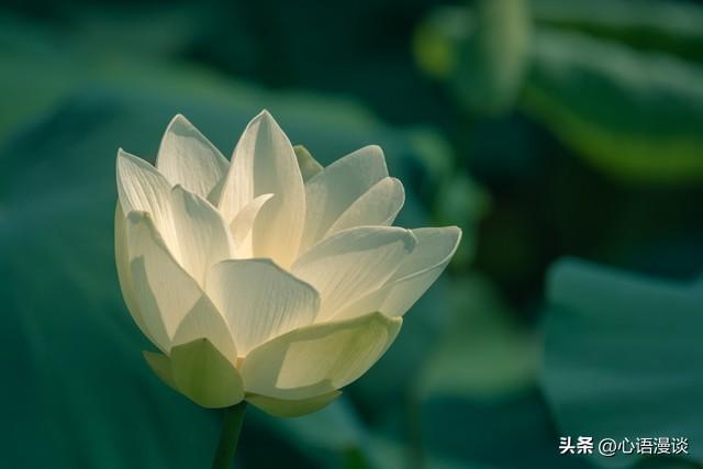 10个直击现实的人生法则