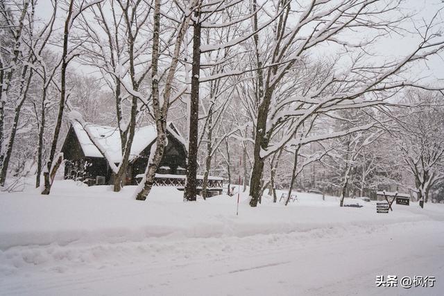 说起冬季日本看雪，难道只有北海道吗？
