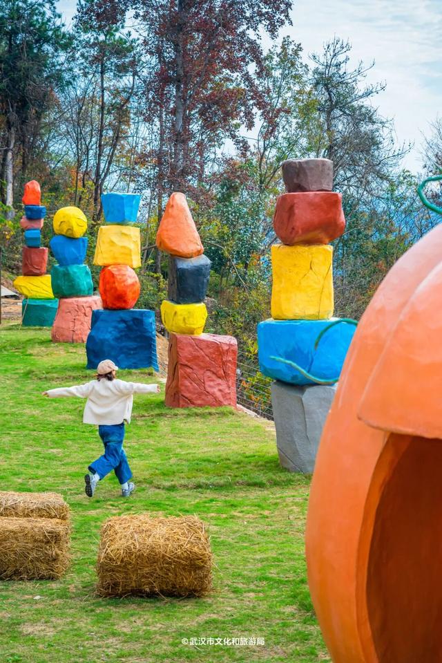 红了！武汉5000余亩红叶树，集体变色