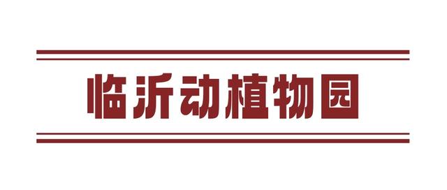 暑假进度条过半，临沂这些遛娃胜地你都打卡了吗？