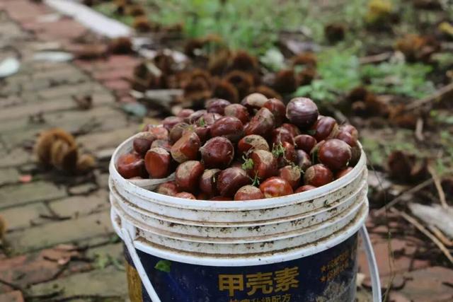 诸城镇街风采录——昌城镇