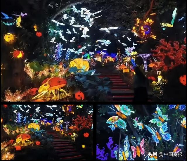 震撼全城！鄂尔多斯植物园中秋国庆巨献：非遗灯会×电音狂欢×国潮演艺×威海海鲜，一键解锁超嗨假期！