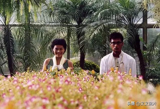 给周杰伦所有电影排个名，《刺陵》垫底，《头文字D》仅排第2