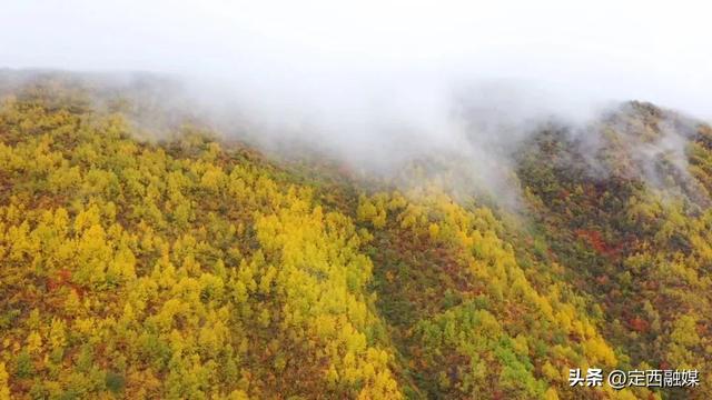 不管怎样，秋天你都该去一次遮阳山