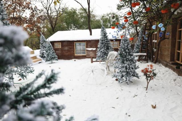 “热！热！热！” | 现在临沂太“热”了！！