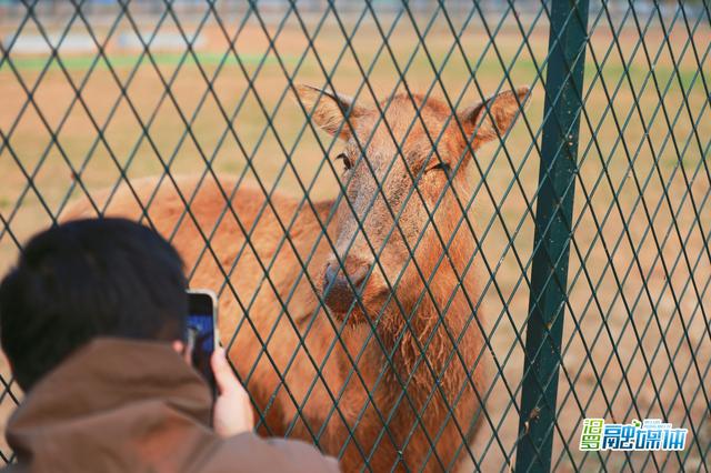 “江湖四宝”掀起岳阳冬季旅游热 四级媒体人亲身感受湘北生态画卷