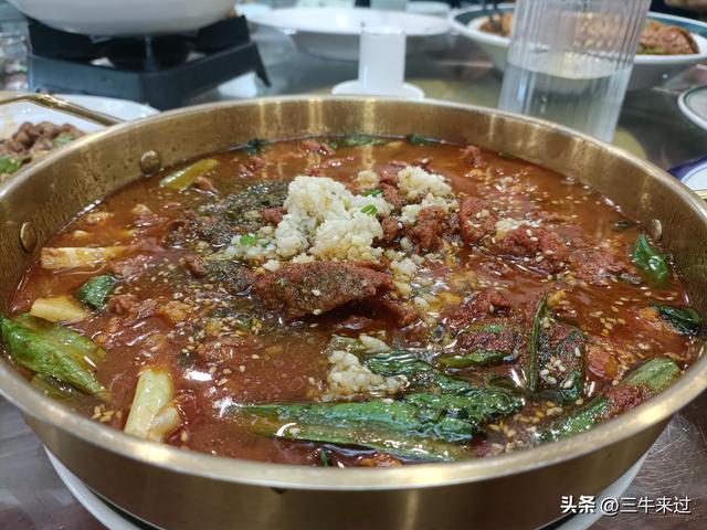 无为在歧路，连云港免票1