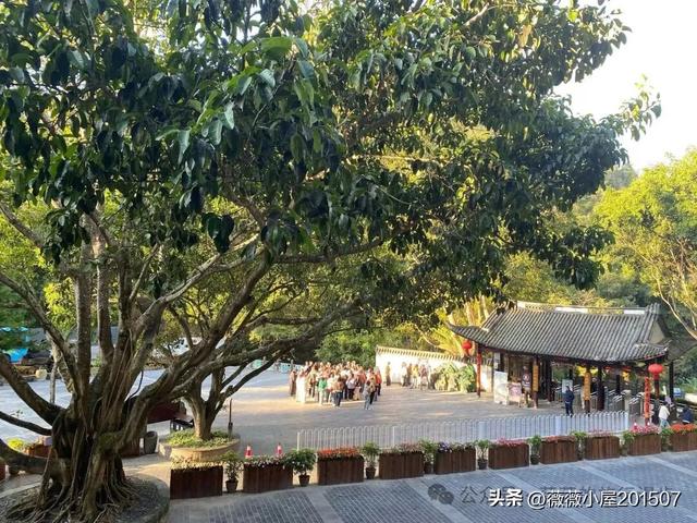 腾冲秘境：火山沉寂，绽放的地质与自然之美