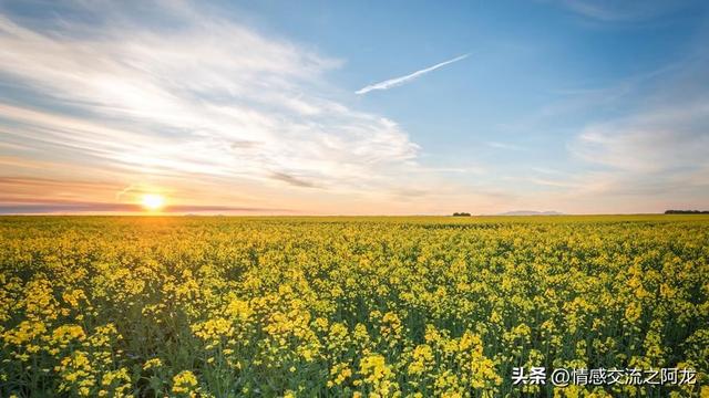 夫妻相处：退休后仍愿意一起旅行的伴侣，通常是这三类人！