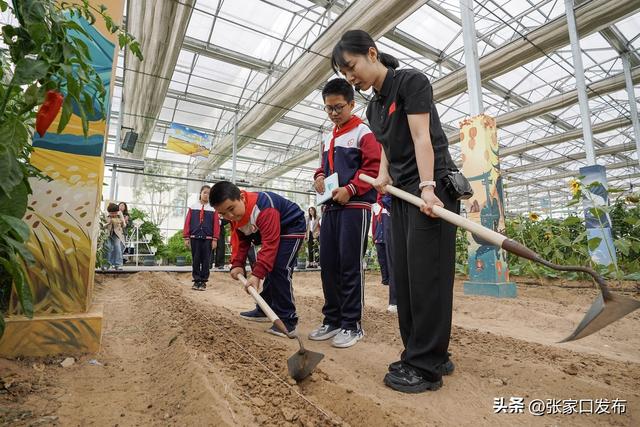 研学张家口 一起向未来|笔墨绘研学 行走见初心