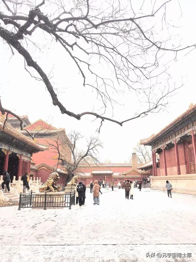 北京下雪后天寒地冻数九寒天大雪小雪冬至又一年注意保暖