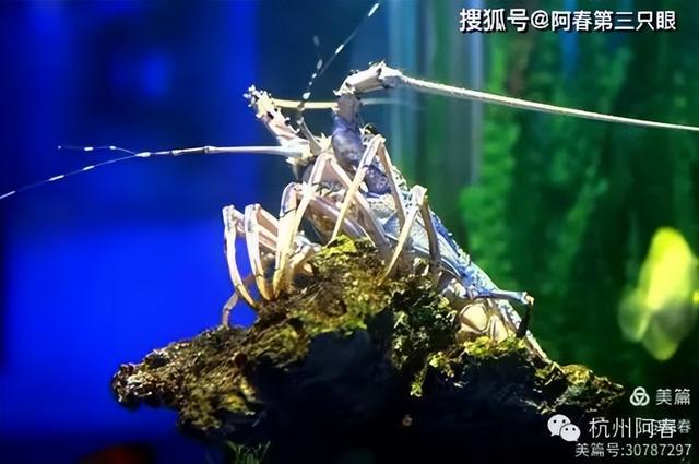 大连 之海洋世界
