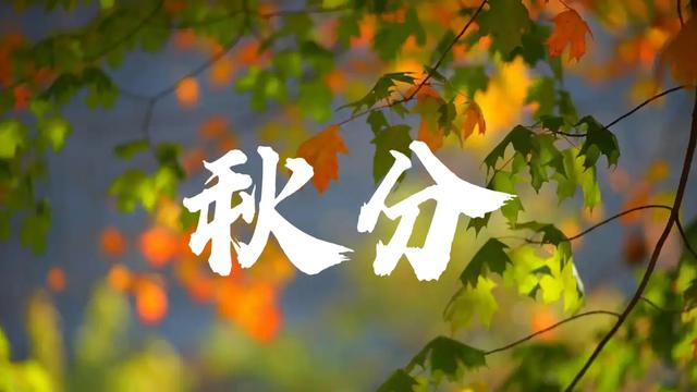 “冷不冷，就看秋分”，今日秋分，今年冬天雨雪多吗？早看早知道