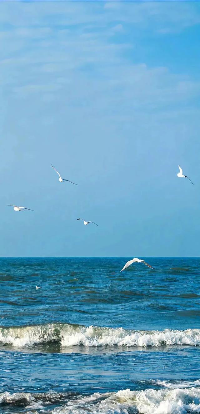 #治愈系 #日出美景 #海边日出