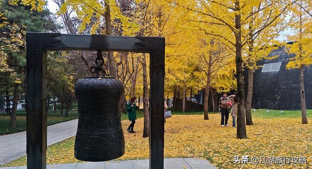 西安曲江富人区墓景房，地下埋着秦二世，地上是银杏林和博物馆